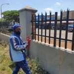 WhatsApp Image 2025-07-03 at 15.40.20_67cfb672